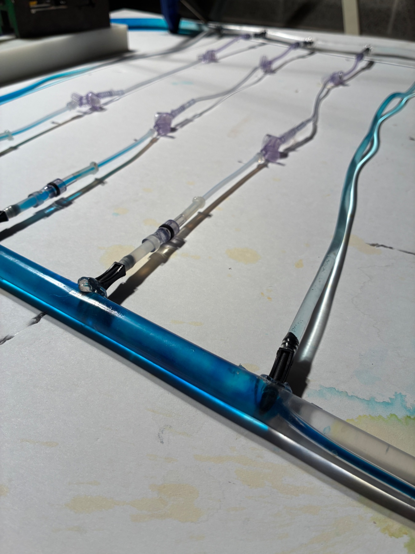 The branching vascular network laid out with dyed perfusion lines